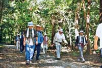 com_c_201111_06